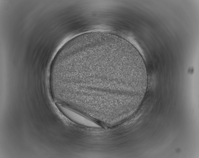 X0000097291099200803141505