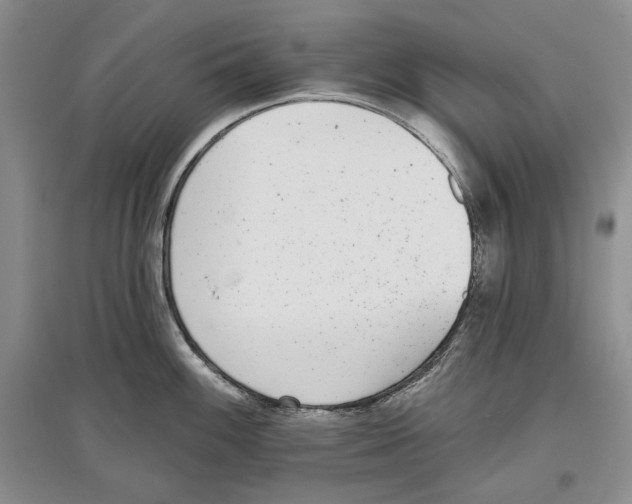 X0000097291100200803141505