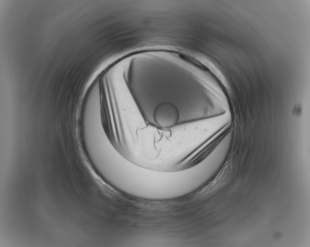 X0000097291101200803141505