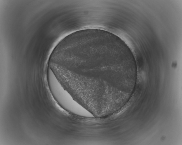 X0000097291102200803141505