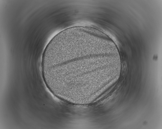 X0000097291103200803141505