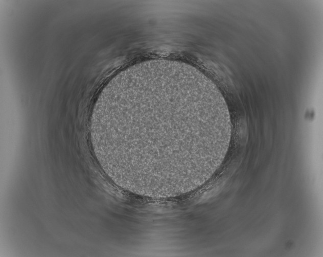 X0000097291105200803141504