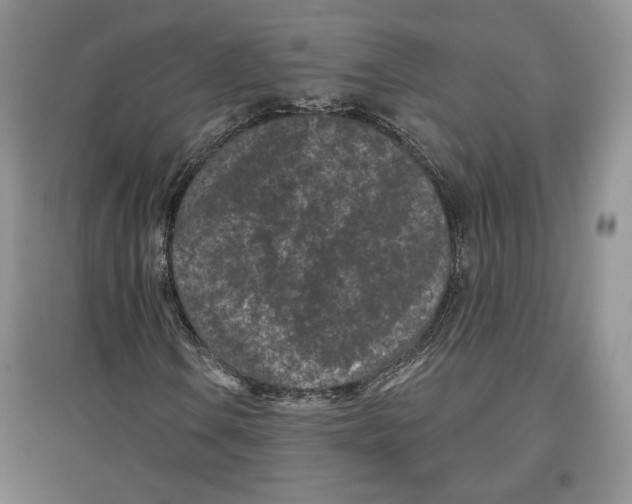 X0000097291106200803141504