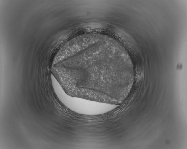 X0000097291108200803141504