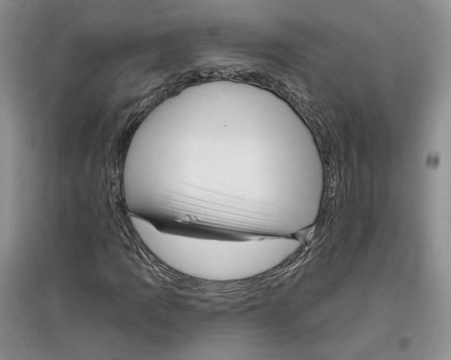 X0000097291109200803141504