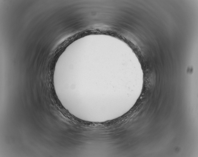 X0000097291112200803141504