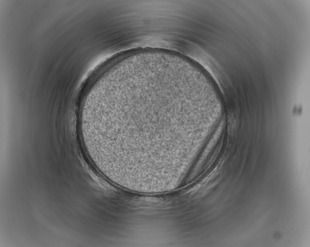 X0000097291115200803141504