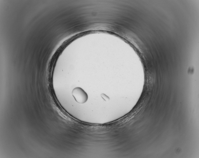 X0000097291116200803141504