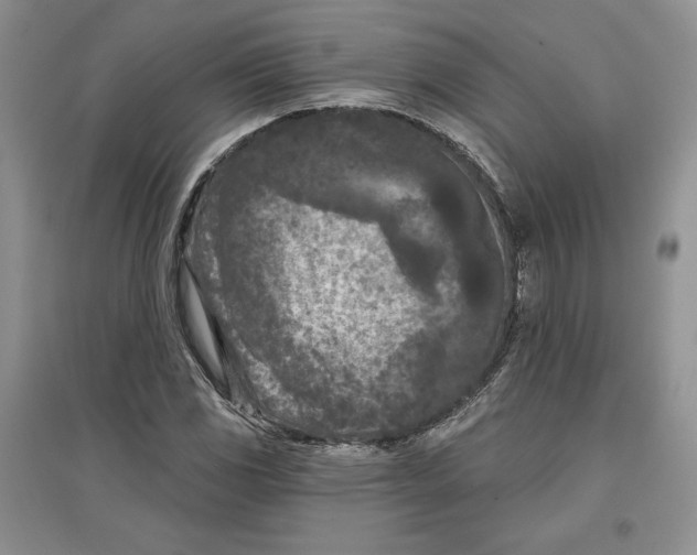 X0000097291117200803141504