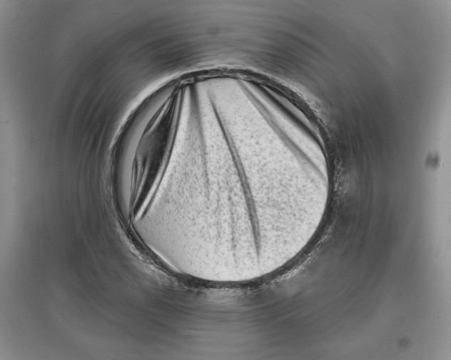 X0000097291118200803141504