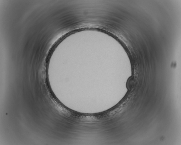 X0000097291119200803141504