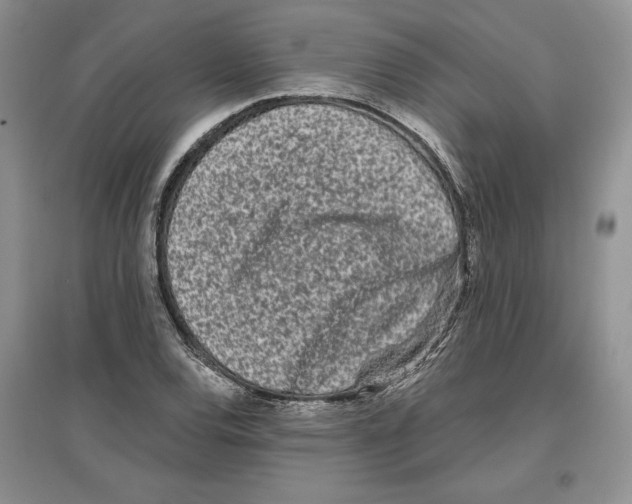 X0000097291120200803141504