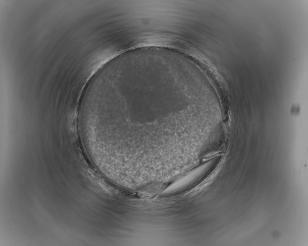 X0000097291121200803141504