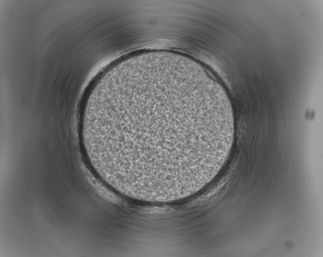 X0000097291122200803141504