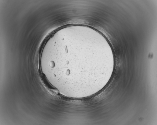 X0000097291123200803141504