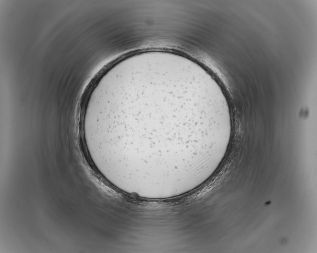 X0000097291124200803141504