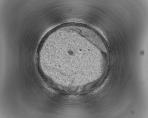 X0000097291125200803141504