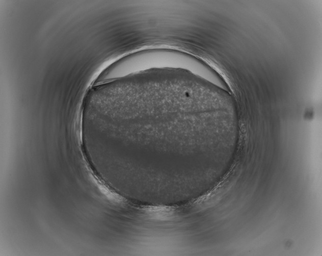 X0000097291127200803141504