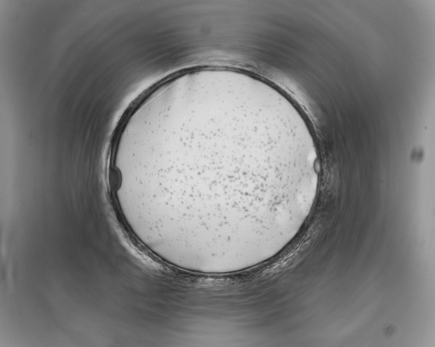 X0000097291128200803141504