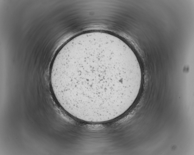 X0000097291129200803141504