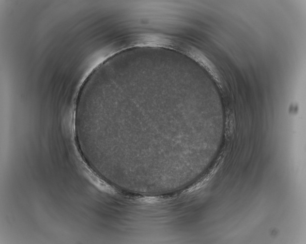 X0000097291130200803141504