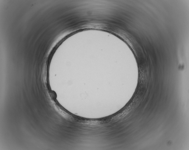 X0000097291131200803141504