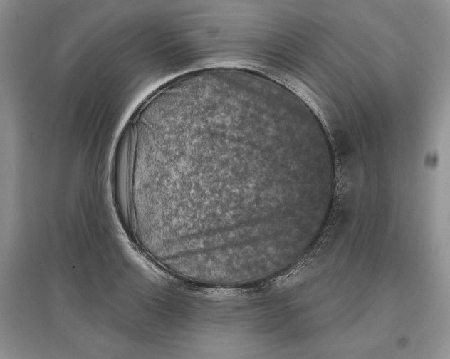 X0000097291132200803141504