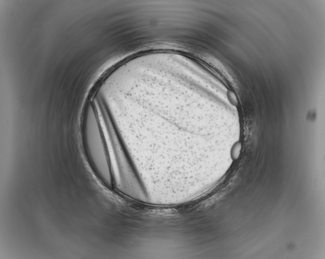 X0000097291133200803141504