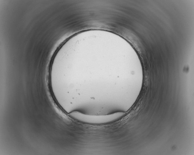 X0000097291136200803141504