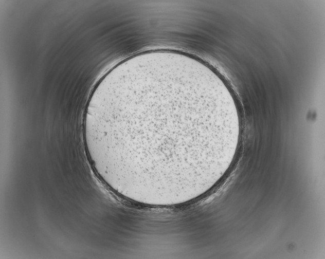 X0000097291137200803141504