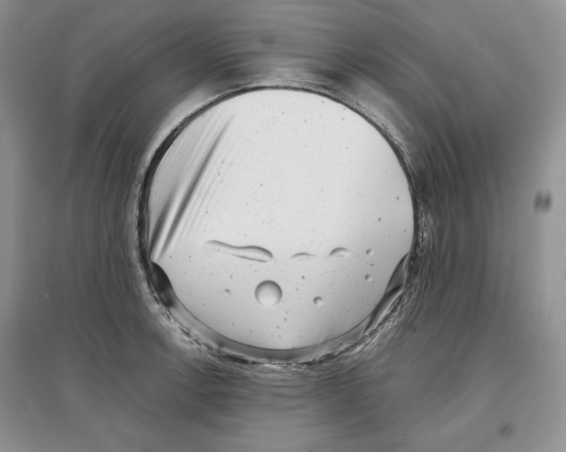 X0000097291138200803141504