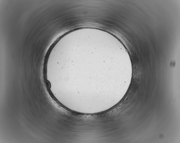 X0000097291139200803141504