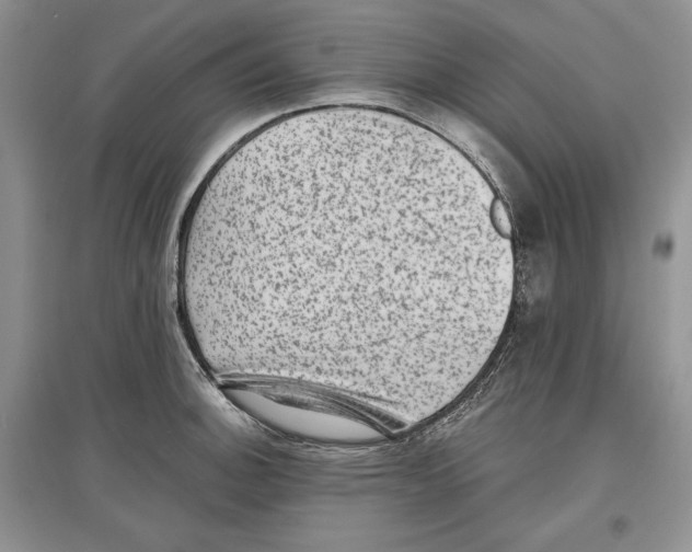 X0000097291140200803141504