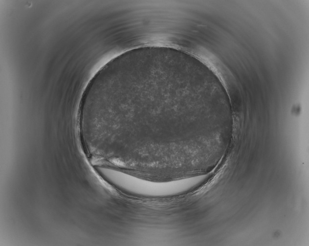 X0000097291141200803141504