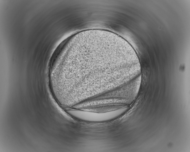 X0000097291142200803141504