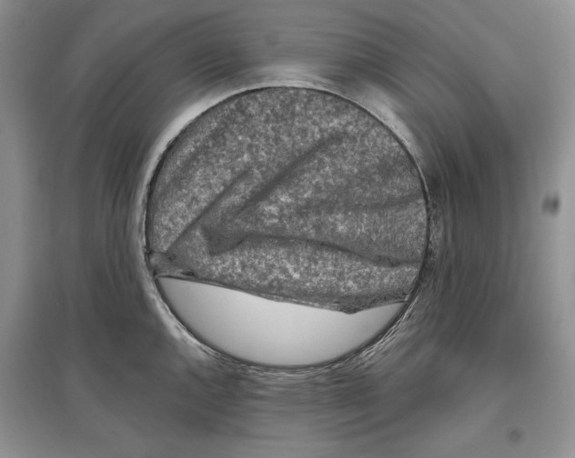 X0000097291144200803141504