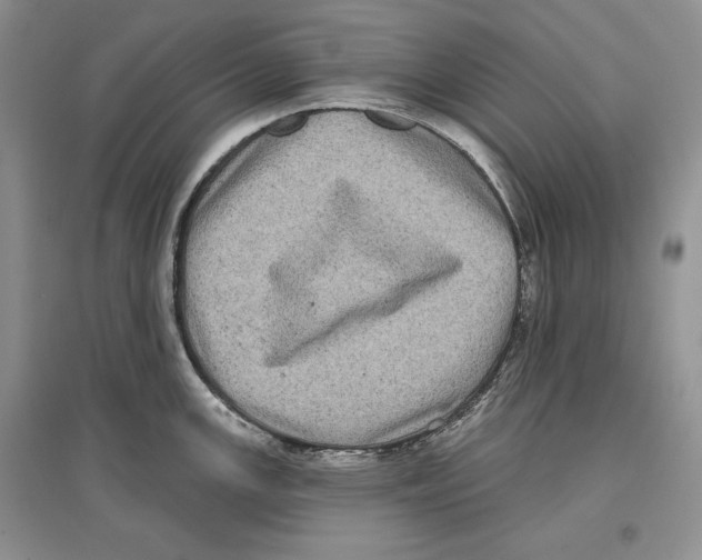 X0000097291147200803141504