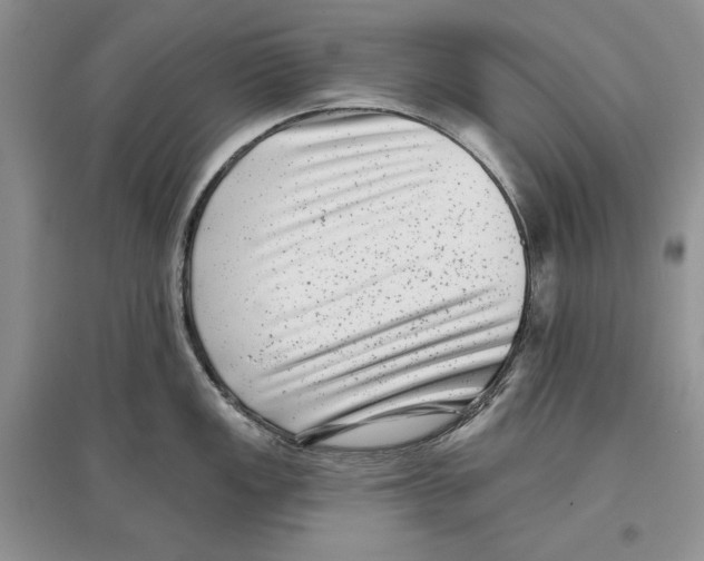 X0000097291149200803141504