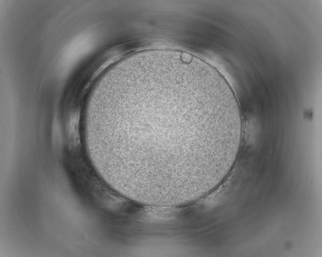 X0000097291150200803141504