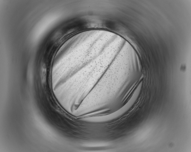 X0000097291151200803141505