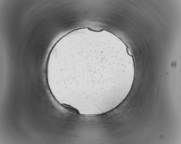 X0000097291152200803141505