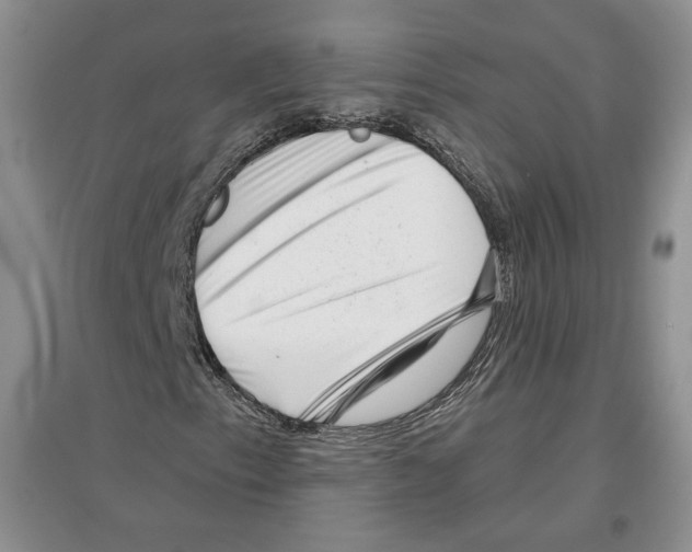 X0000097291153200803141504