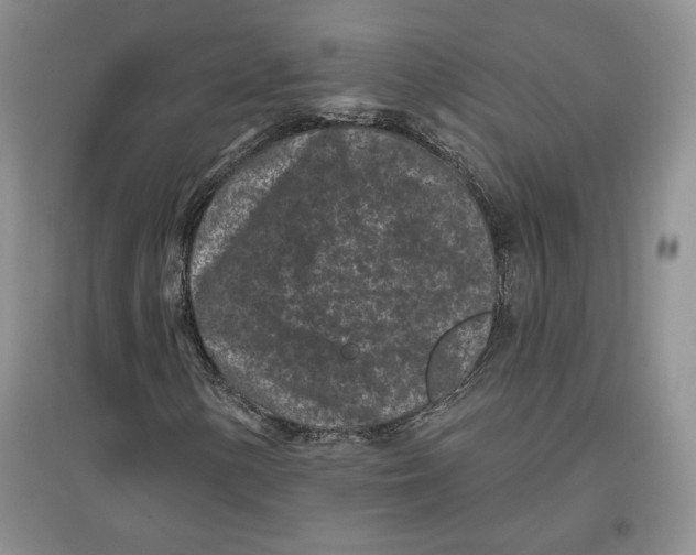 X0000097291154200803141504