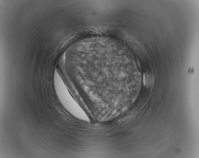 X0000097291155200803141504