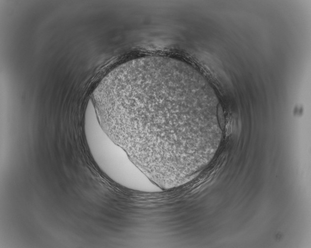 X0000097291156200803141504