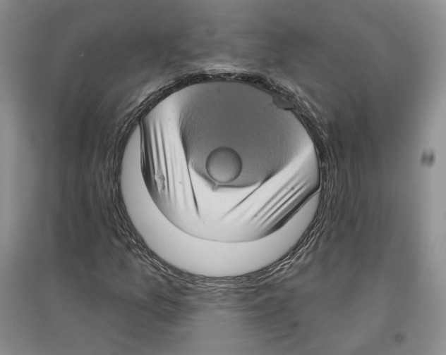 X0000097291157200803141504