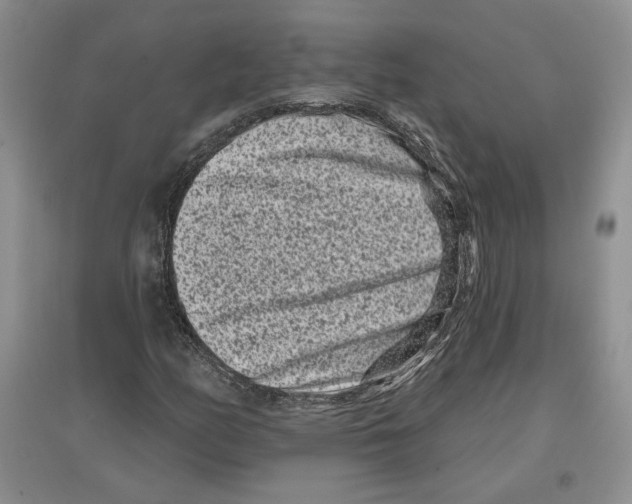 X0000097291158200803141504