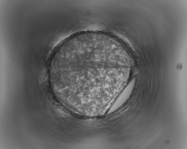 X0000097291160200803141504