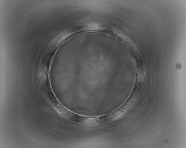 X0000097291161200803141504