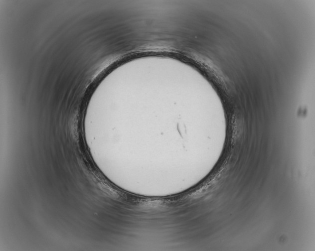 X0000097291162200803141504